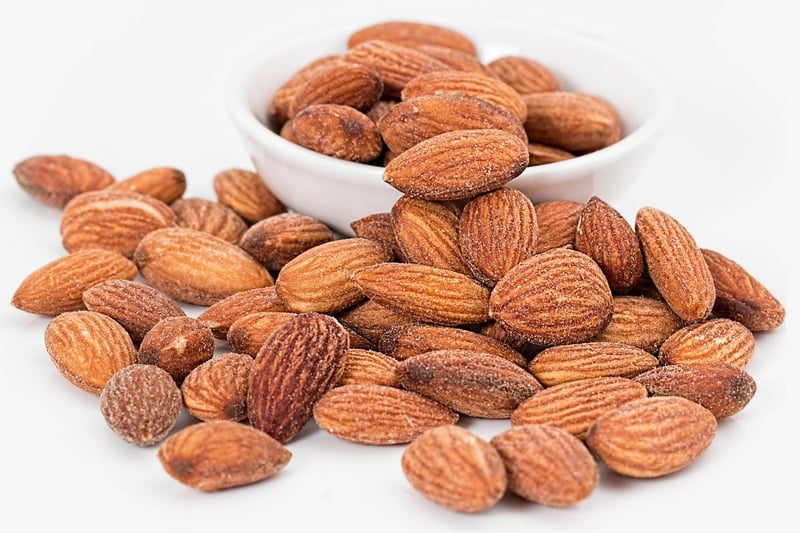 Vegetarian Protein Sources